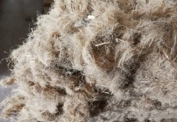 Flax fiber