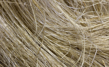 Hemp fiber